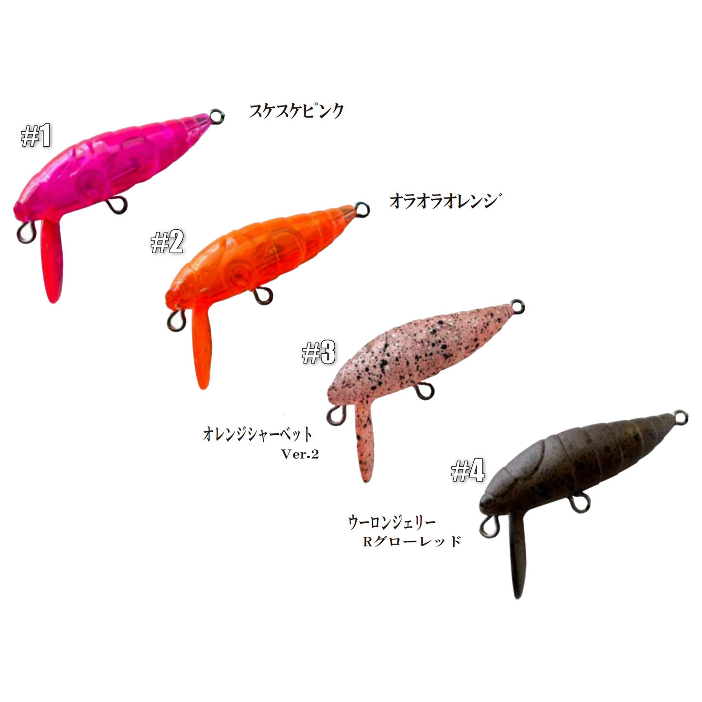RC Cicada 2024 Uchoten(RCシケイダー2024有頂天)