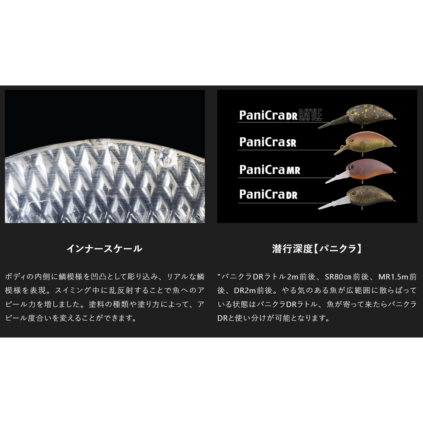 PaniCra DR RATTLE(パニクラDRラトル)