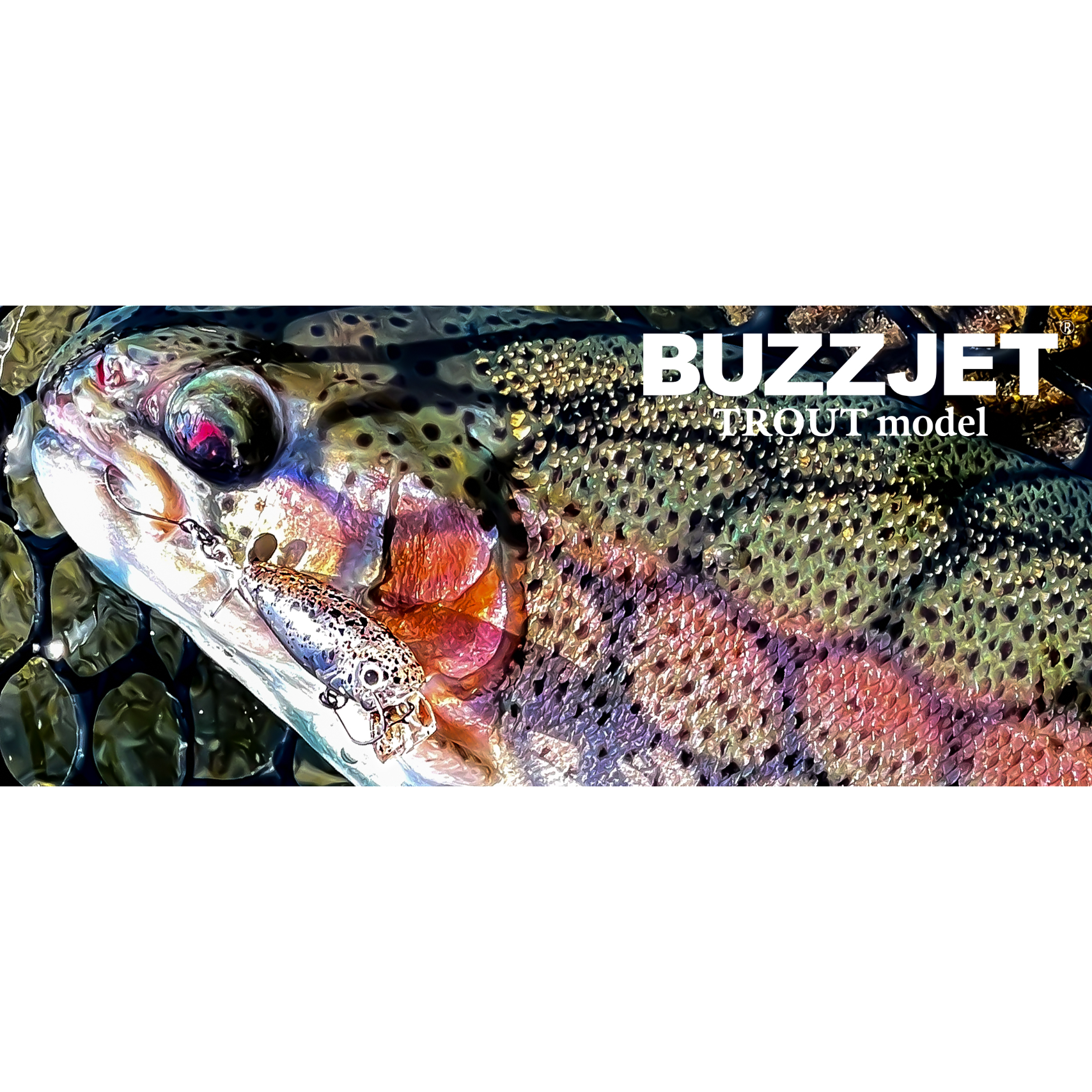 BUZZJET TROUT model（バズジェットトラウトモデル） – t-Route
