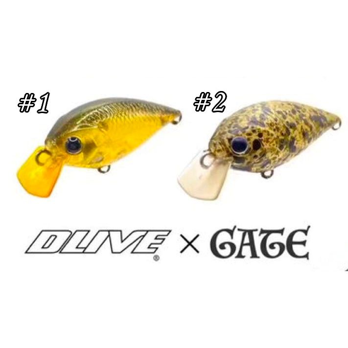 Medium CRA-PEA GS2 DLIVE × GATE Limited Color（ミディアムクラピー