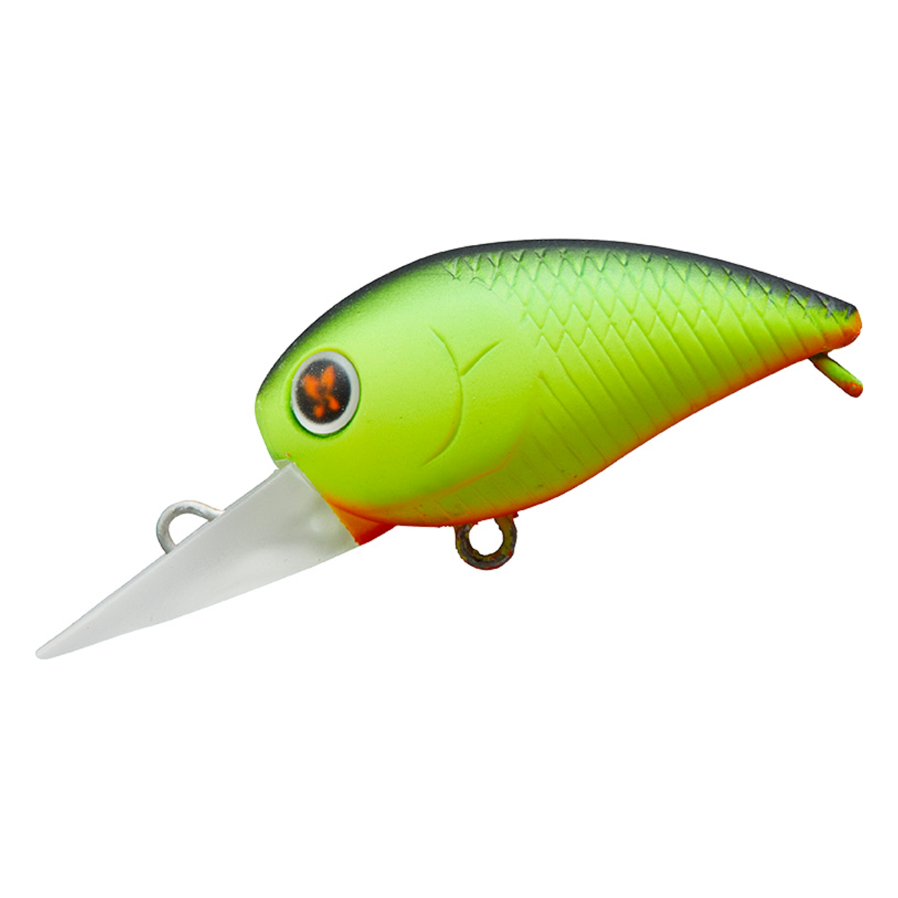 WABCRA(ワブクラ)