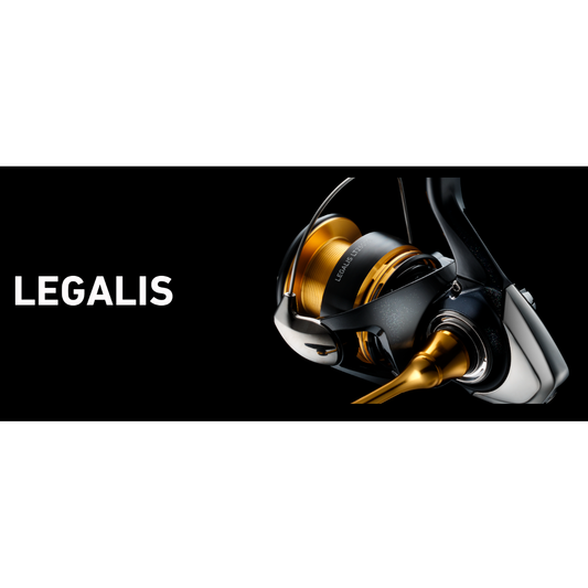 23LEGALIS（レガリス）