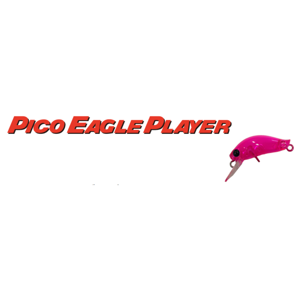 Pico Eagle Player F（ピコイーグルプレーヤー）
