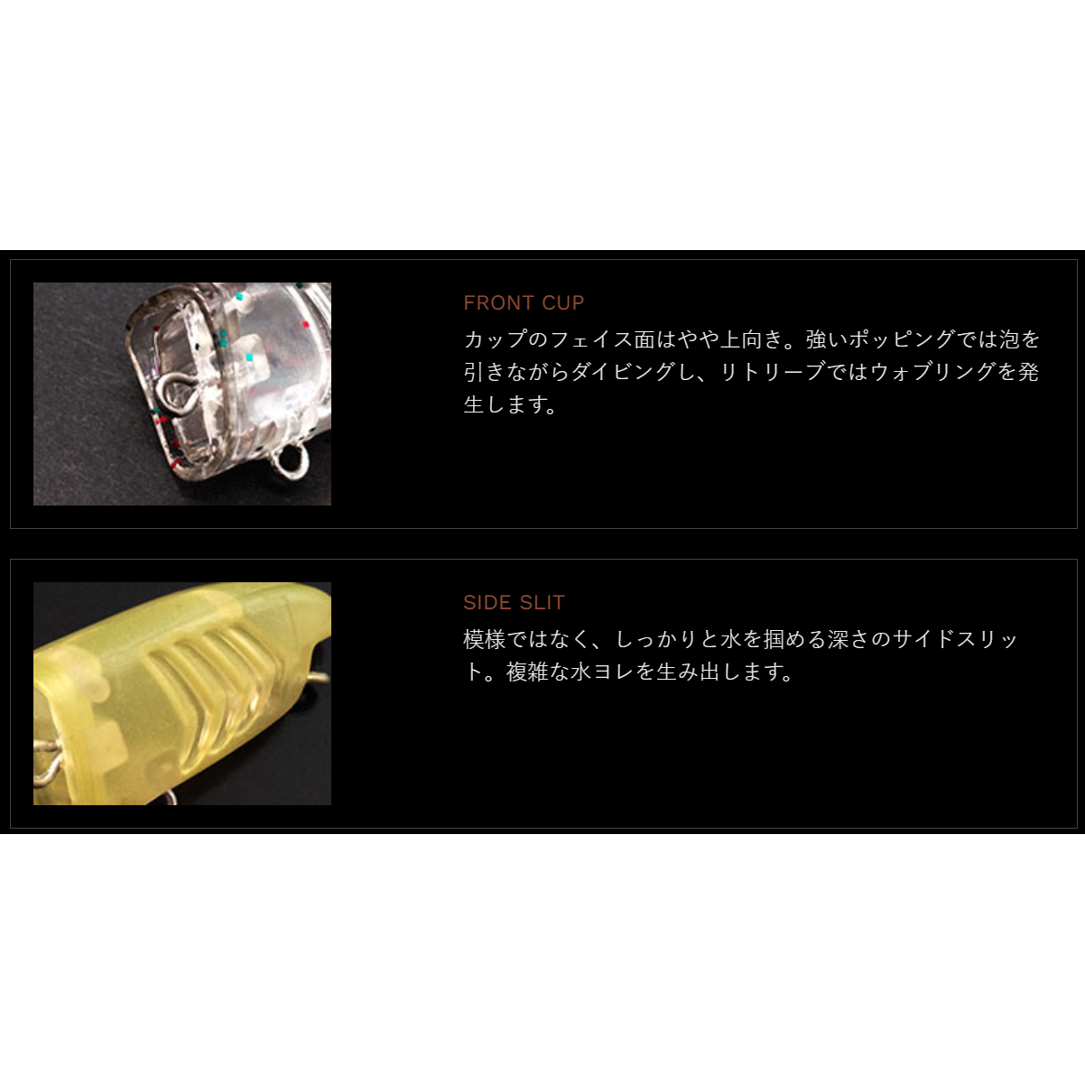 SPISH25（スピッシュ）