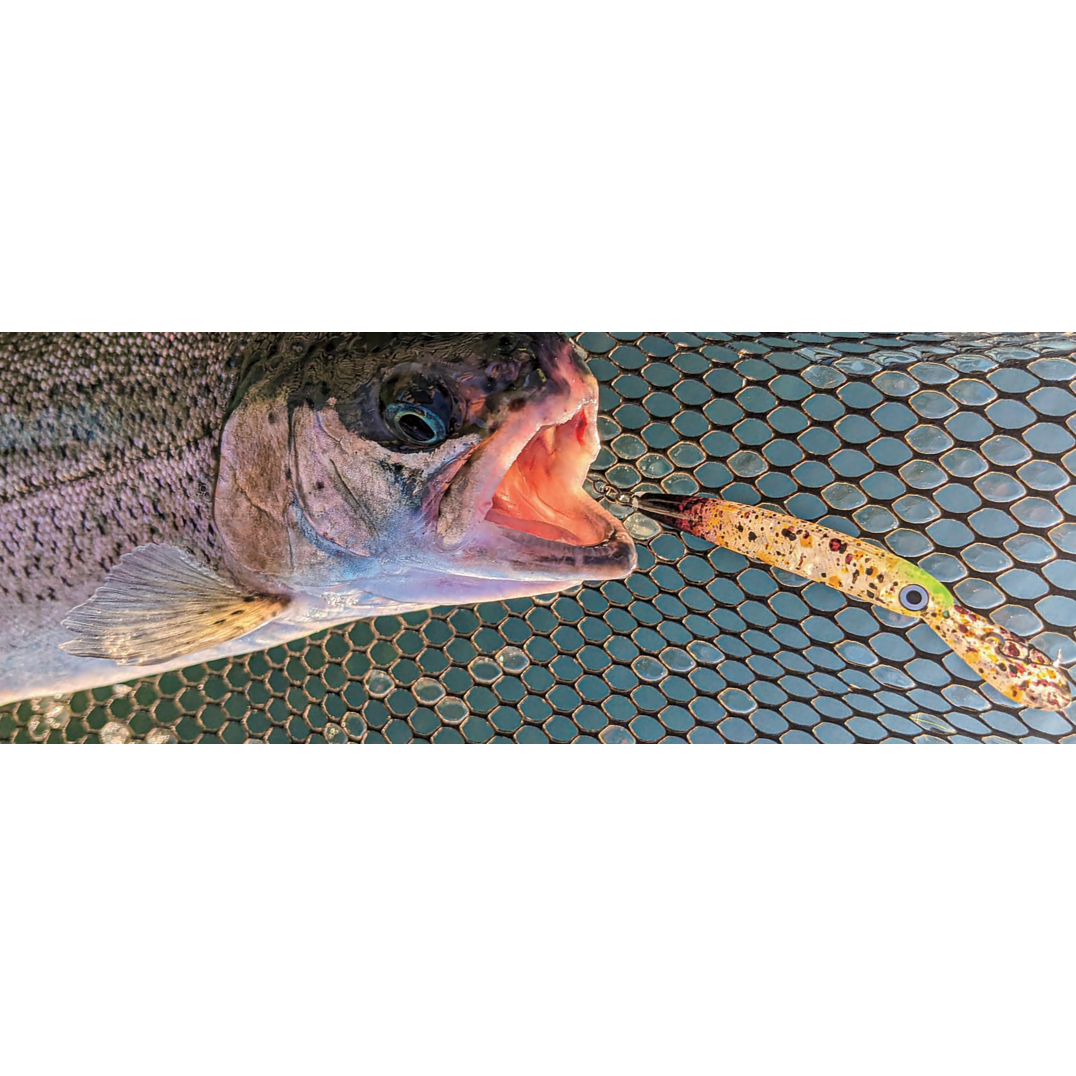 ZAGGER 50 F1-R tailwalk limited color（ザッガー50F1Rテイルウォークリミテッド）