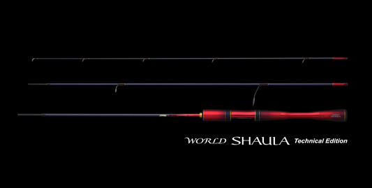 2024 WORLD SHAULA Technical Edition（ワールドシャウラテクニカルエディション）