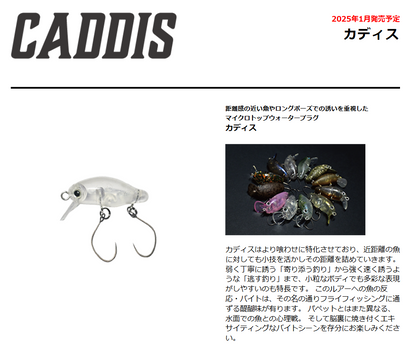 CADDIS（カディス）