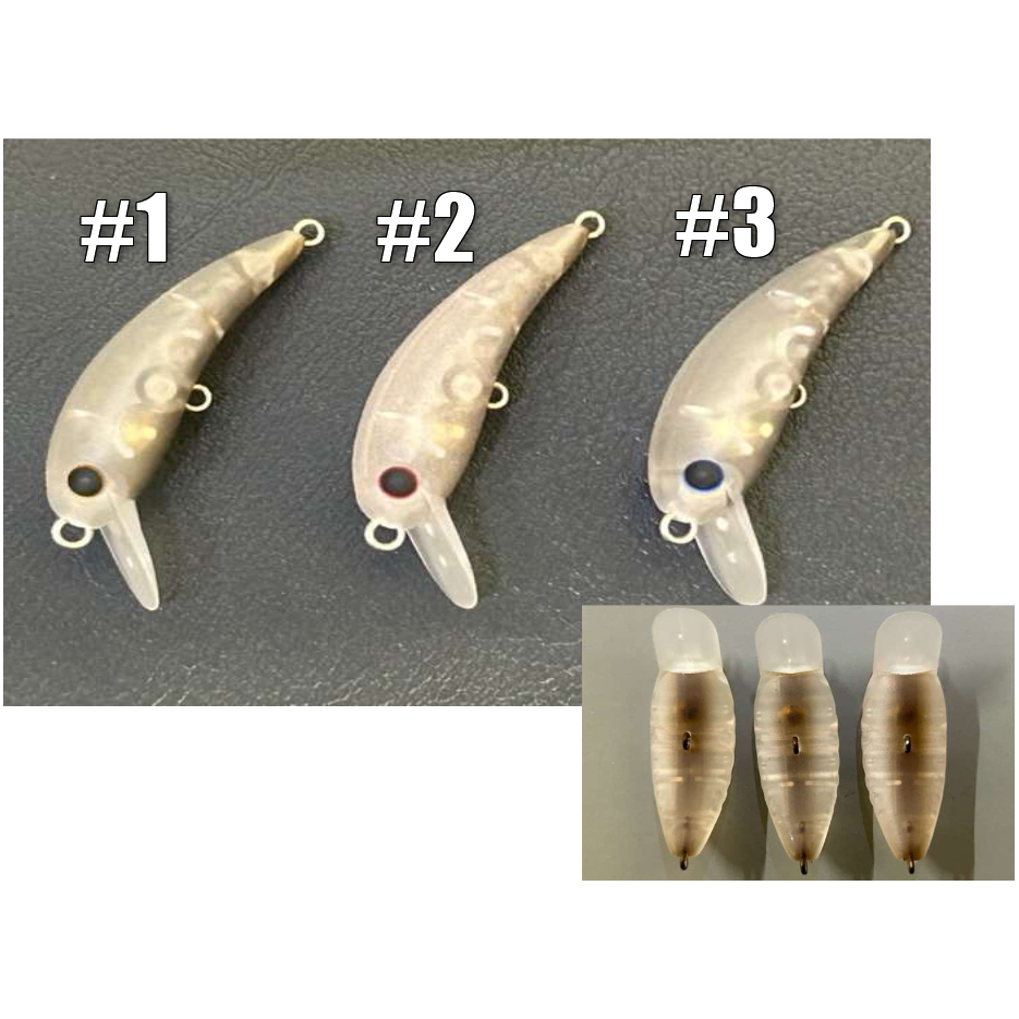 WAH37F 2025 summer HERO’S（ワウ37Fヒーローズ）