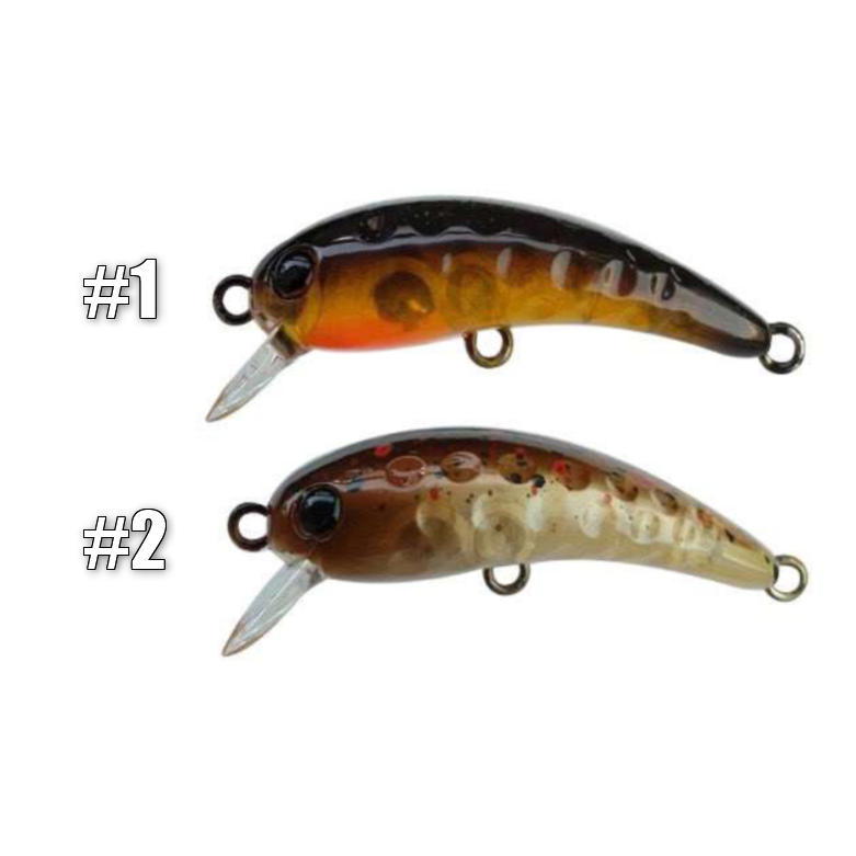 WAH37F 2025 summer HERO’S Tester color（ワウ37Fヒーローズテスターカラー）