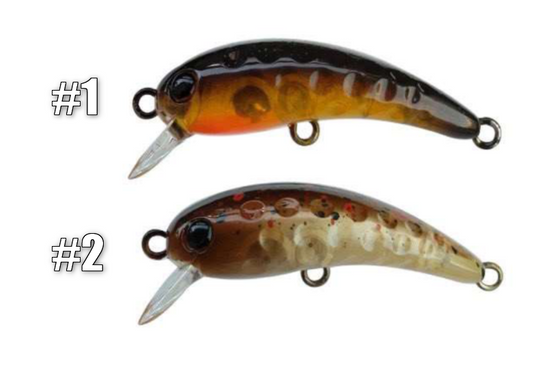 WAH37F 2025 summer HERO’S Tester color（ワウ37Fヒーローズテスターカラー）