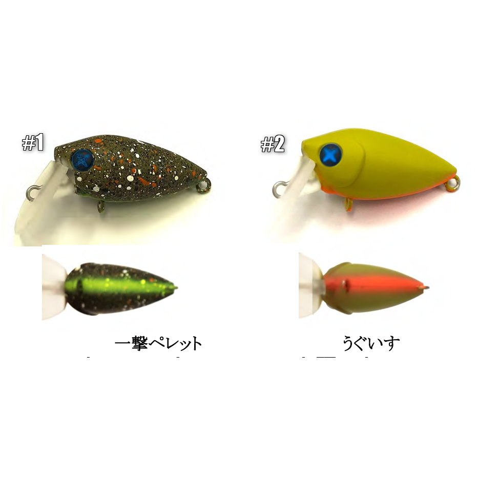 S-CRA Uchoten 2025 Summer（エスクラ有頂天カラー2025夏）