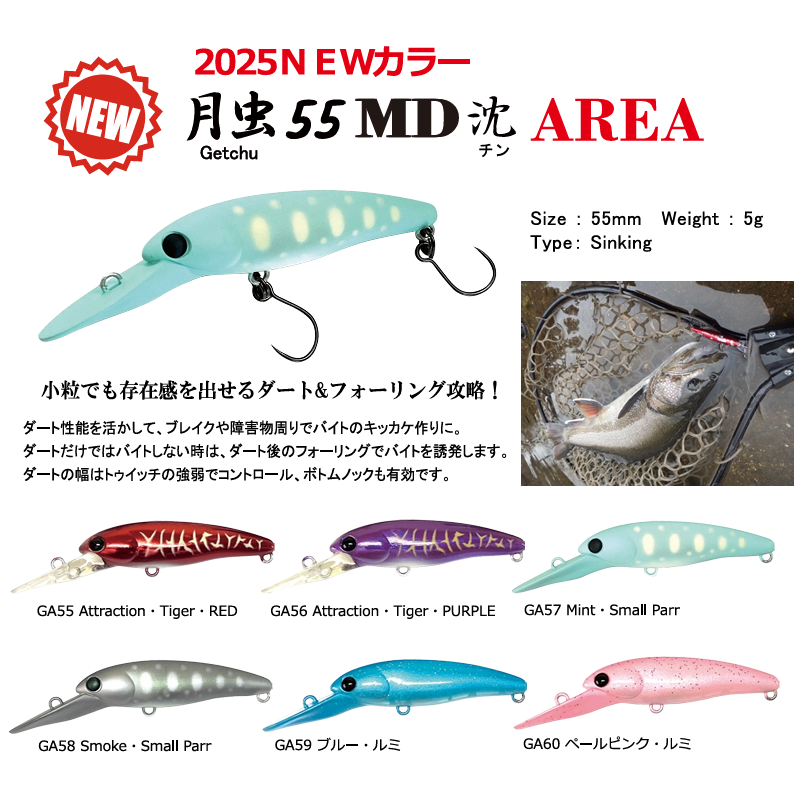 DENS 55MD 沈 Area（デンス55MD沈）