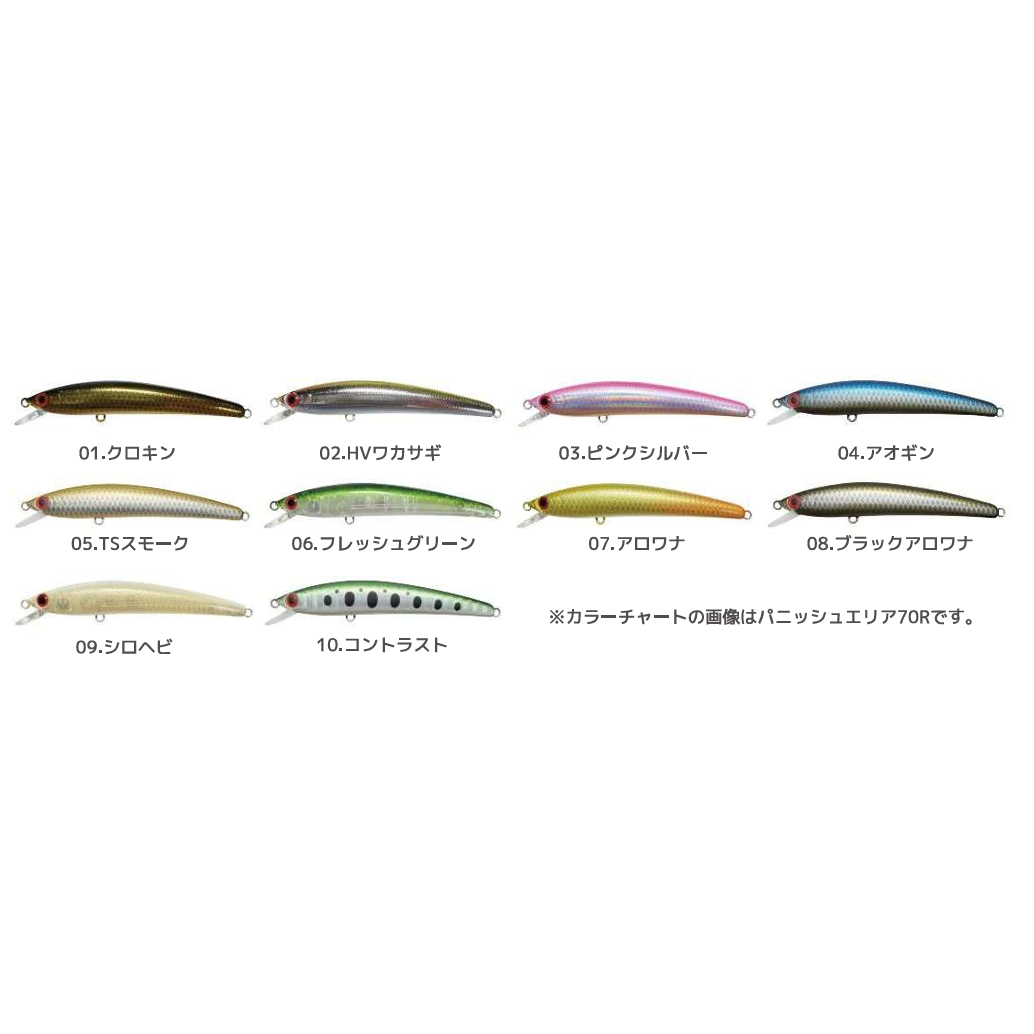 Panish Area 55R（パニッシュエリア55R）