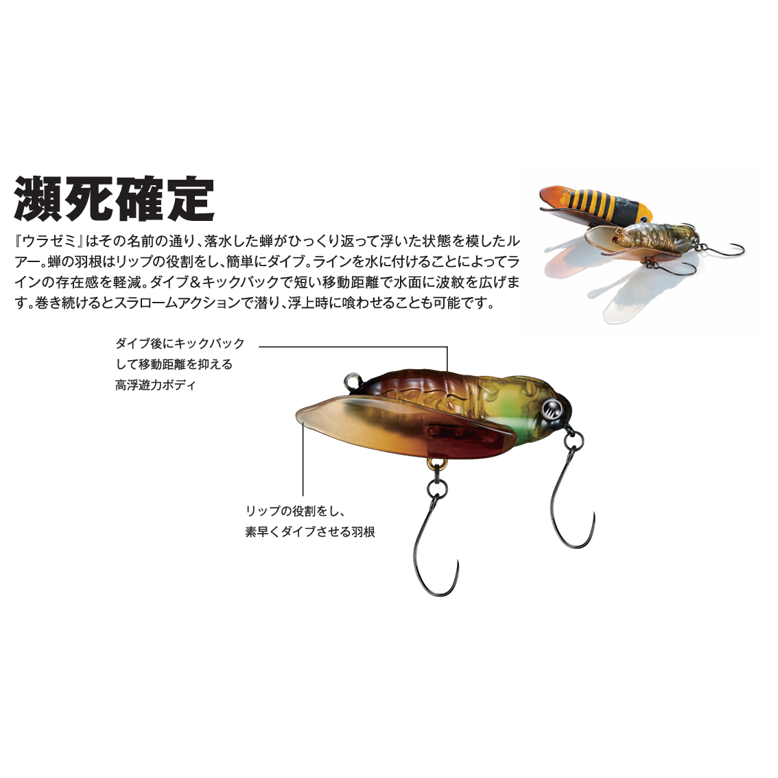 URAZEMI（ウラゼミ）