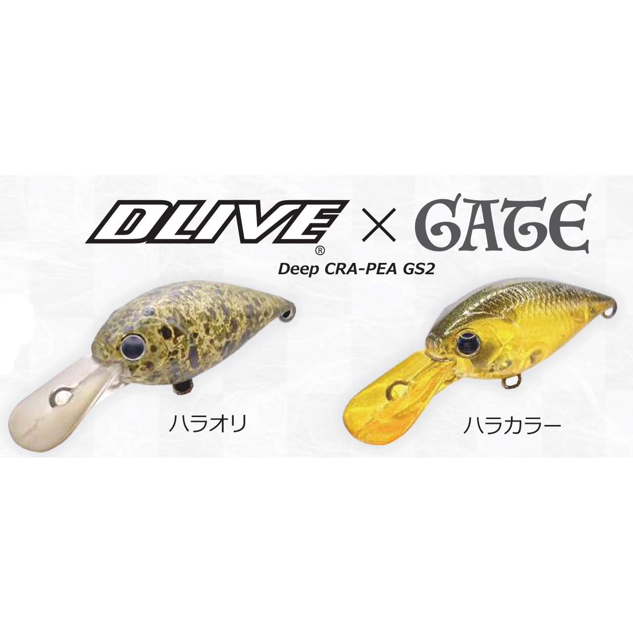 Lucky Craft Plug GS2 DLIVE × GATE Limited Color（ラッキークラフトプラグGS2ドライブ×ゲート限定カラー）