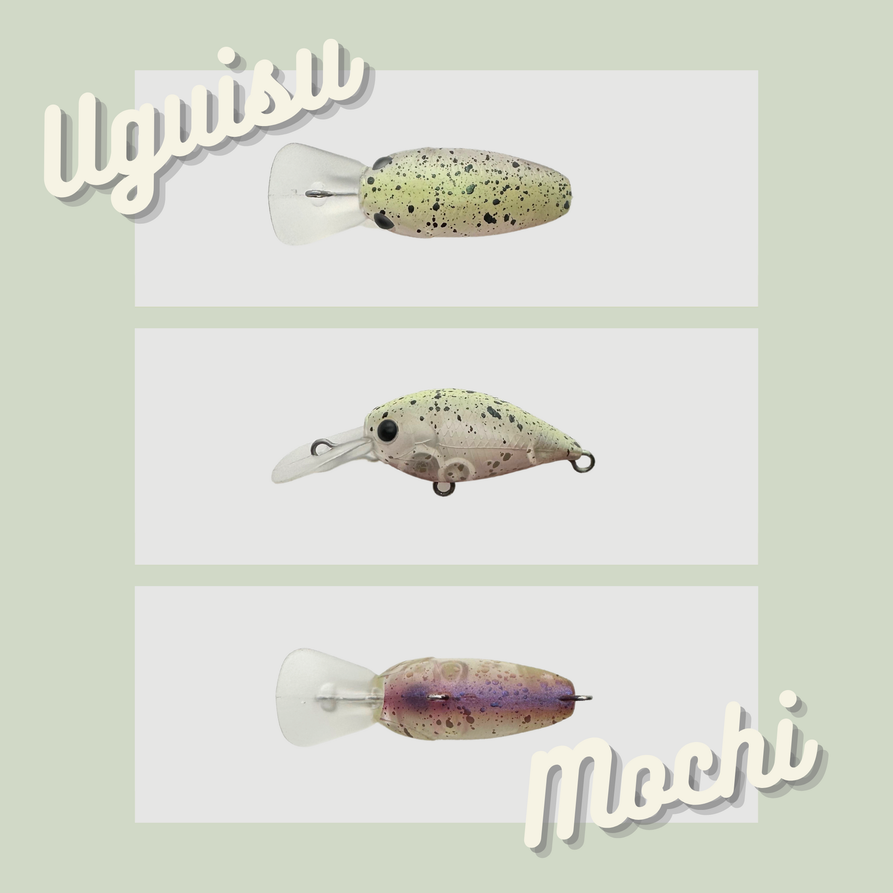 WAH 37F t-Route Limited(ワウ37 t-Routeオリカラ) WAH 37F t-Route Limited(ワウ37 t-Routeオリカラ)