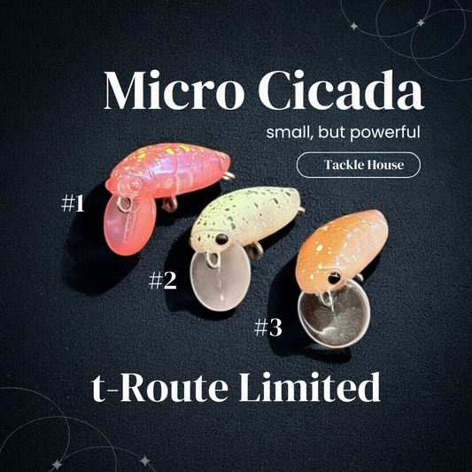 Micro Cicada S t-Route Limited（マイクロシケイダーS t-Routeオリカラ）