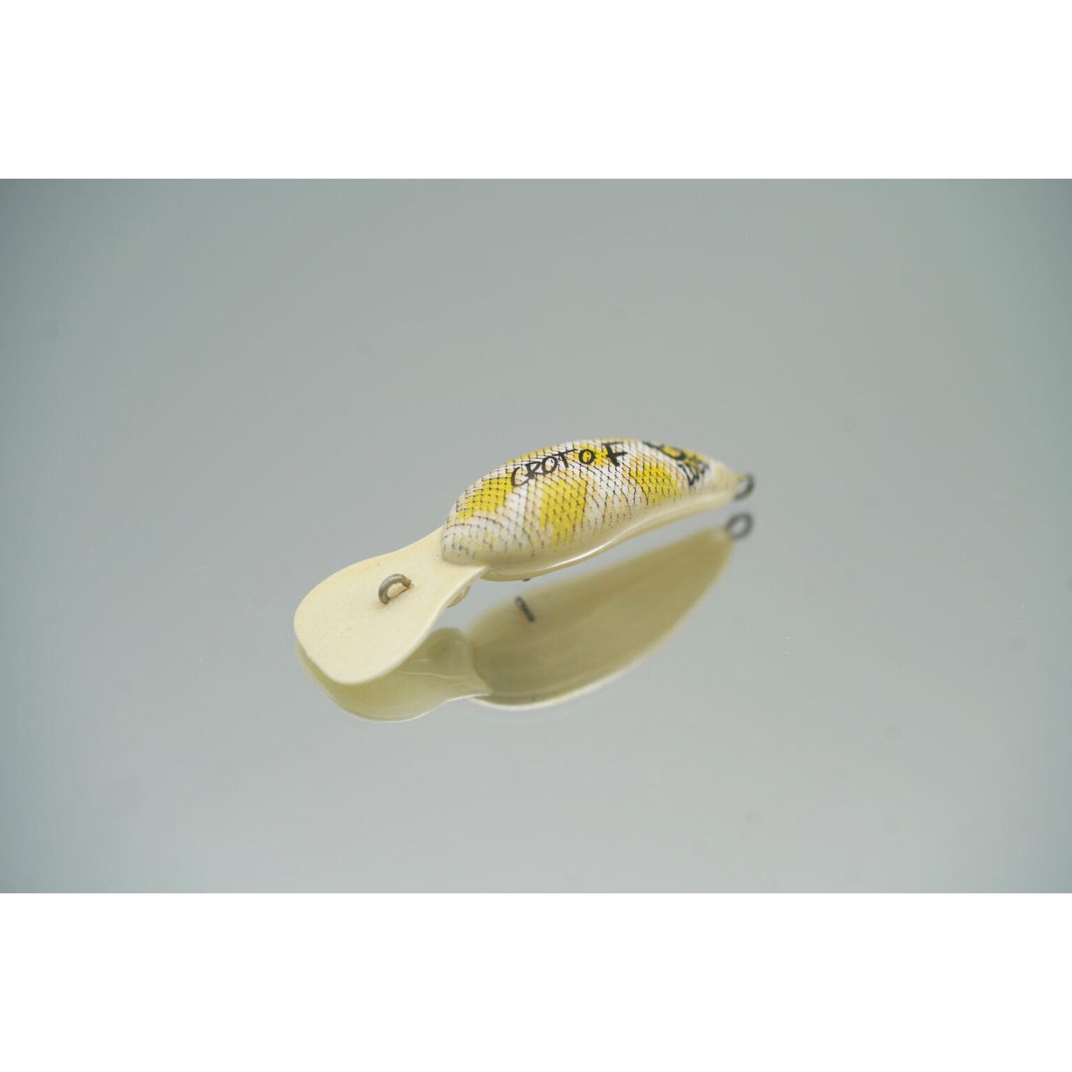 CROTO DR Albino Ball Python color（クロトDRアルビノボールパイソンカラー）