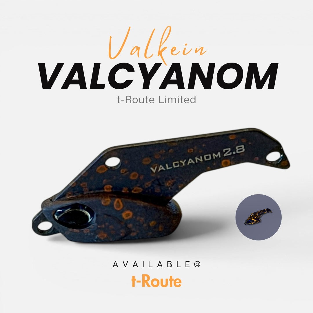 t-route items – t-Route