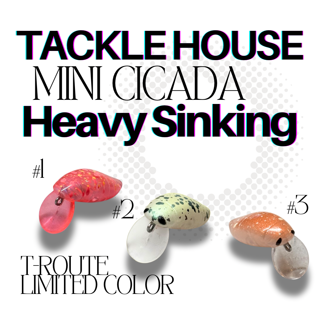 Mini Cicada Heavy Sinking t-Route Limited（ミニシケイダーヘビーシンキングt-Routeオリカラ）