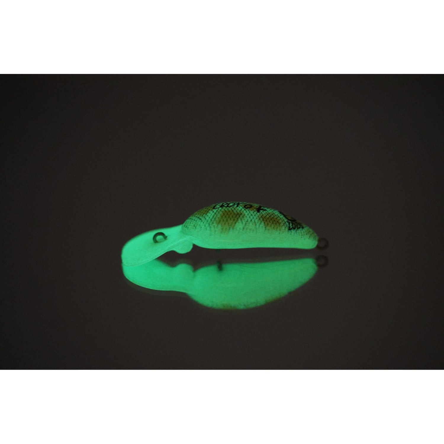 CROTO DR Albino Ball Python color（クロトDRアルビノボールパイソンカラー）