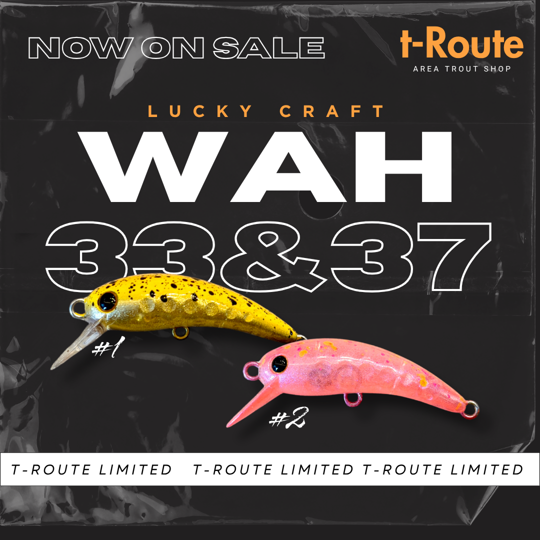 WAH 33F & 37F t-Route Limited 2026 Spring（ワウ33F&37F t-Routeオリカラ2026春）