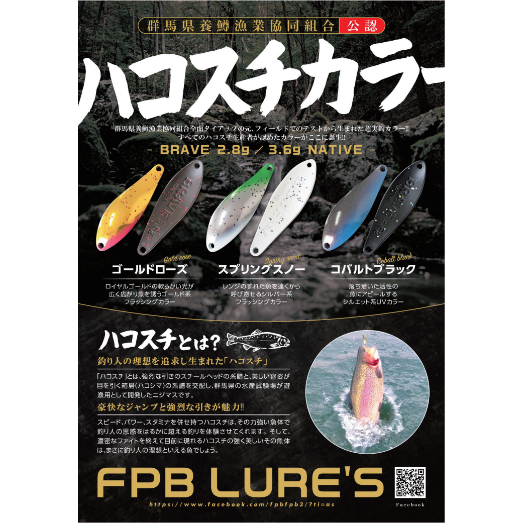 BeHeart Gunma Hakosuchi Color（ビーハート群馬ハコスチカラー）