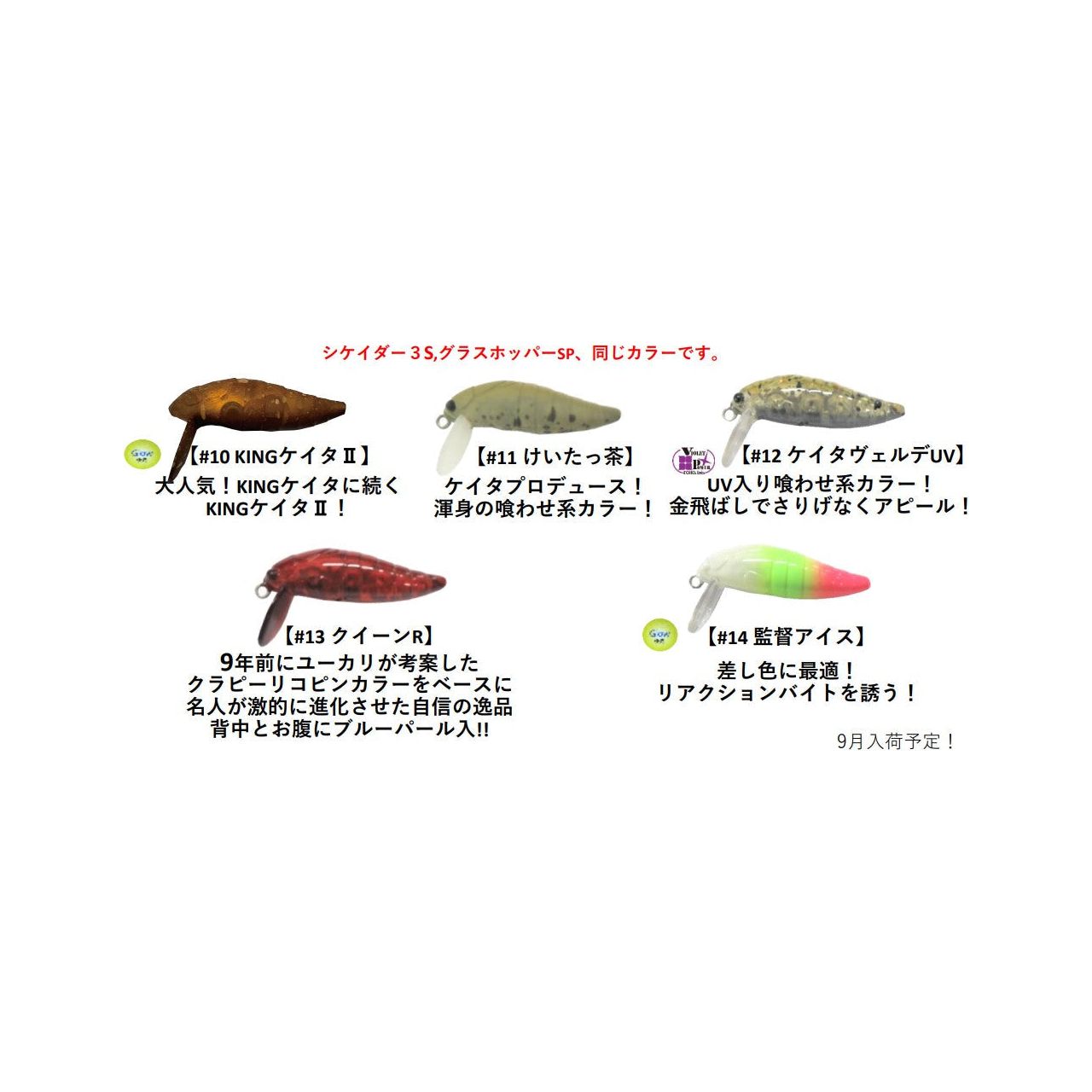 office eucalyptus × TACKLE HOUSE Cicada 3S ＆ Grasshopper SP