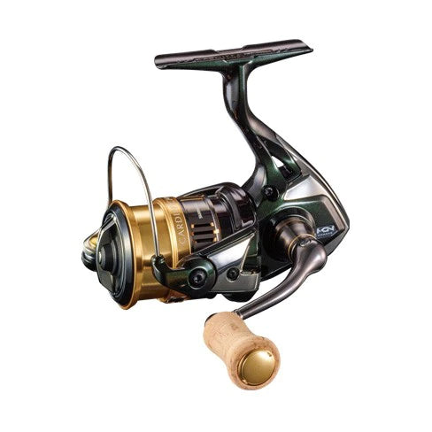 CARDIFF Cl4 +
