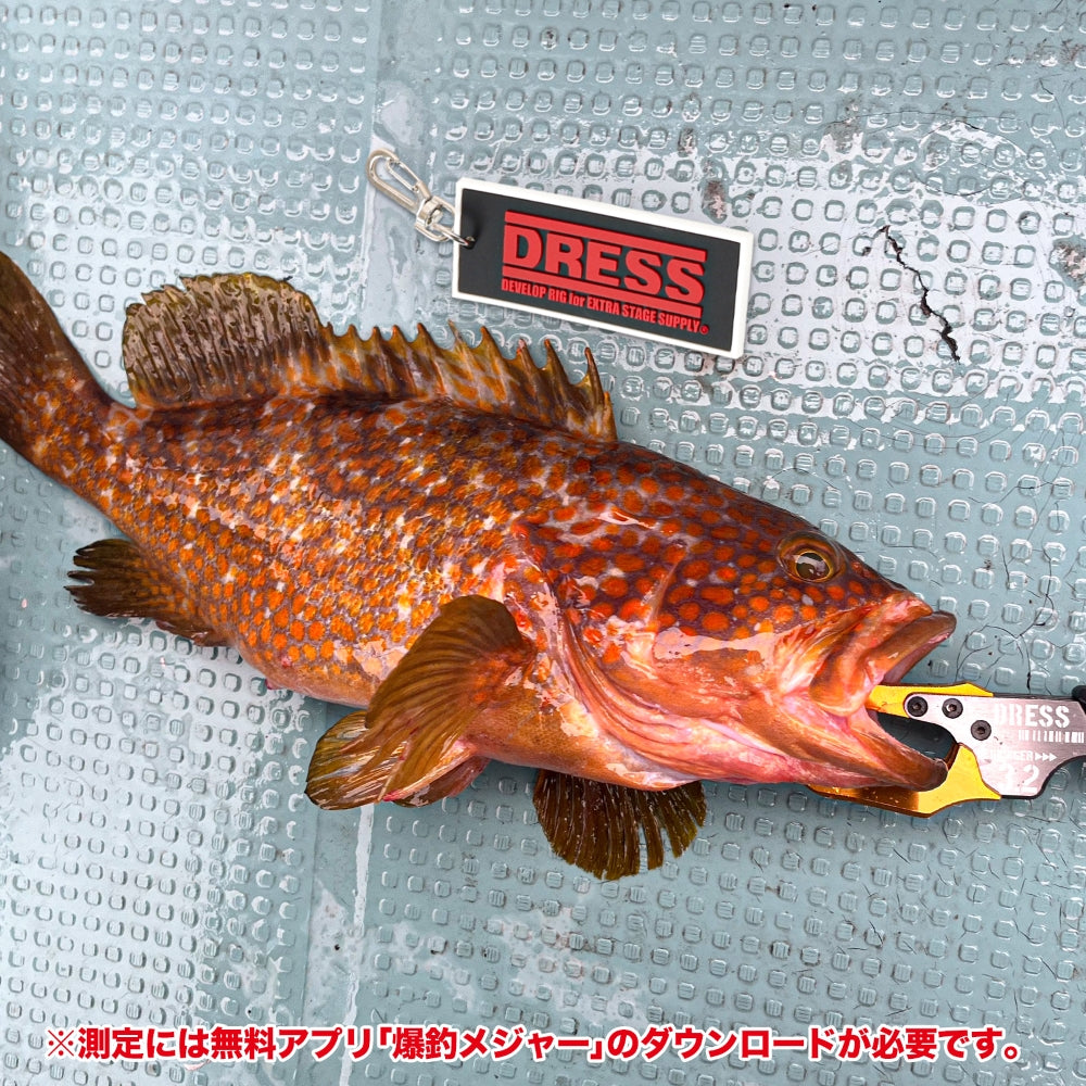 DRESS ラバーキーホルダーS（爆釣メジャー・計測アプリ対応）